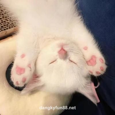 Ảnh đại diện Thu Hà